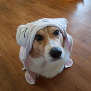 Meet your Posher, Jillian